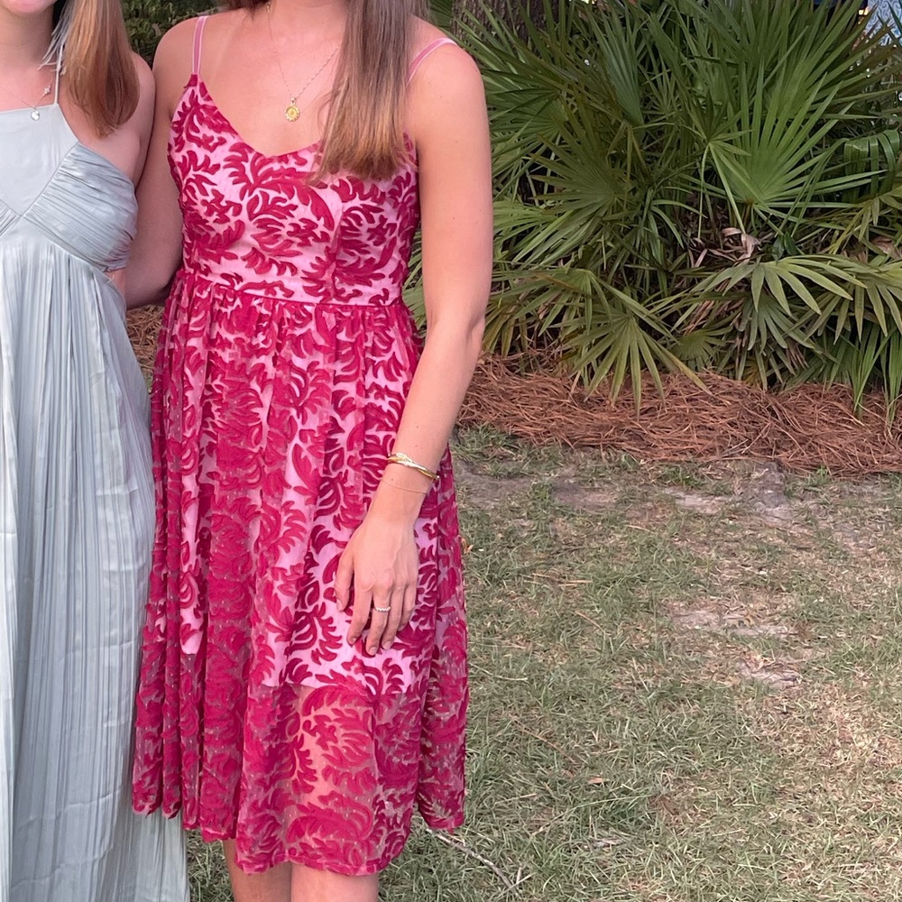 BB Dakota Botanical Detailed Midi-Dress